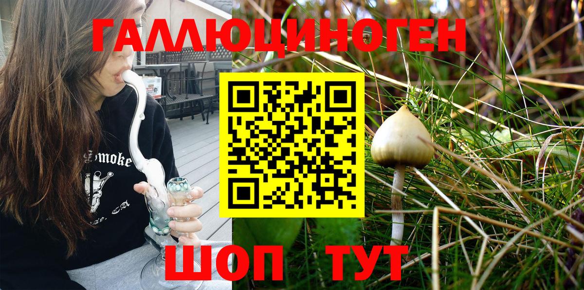 Воскресенск  Галлюциногенные грибы MAGIC MUSHROOMS  Вход с VPN 