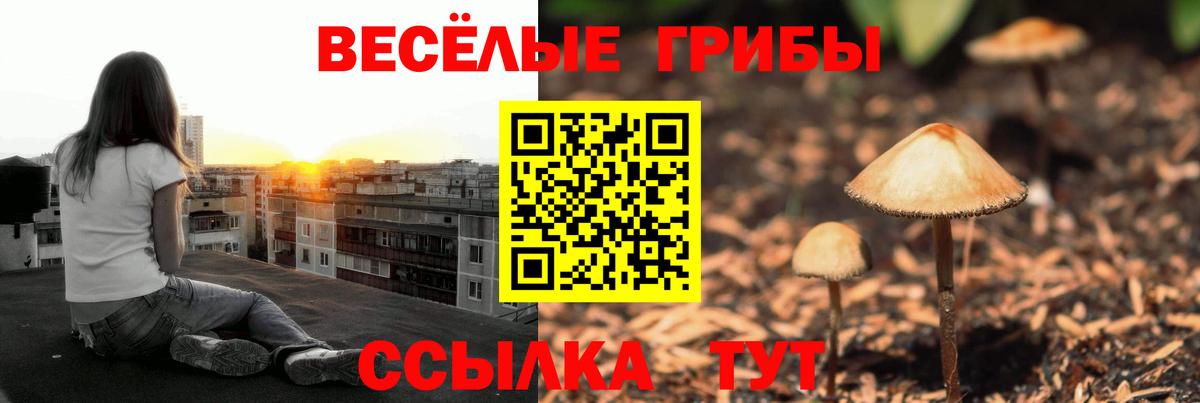 Галлюциногенные грибы Psilocybine cubensis Воскресенск